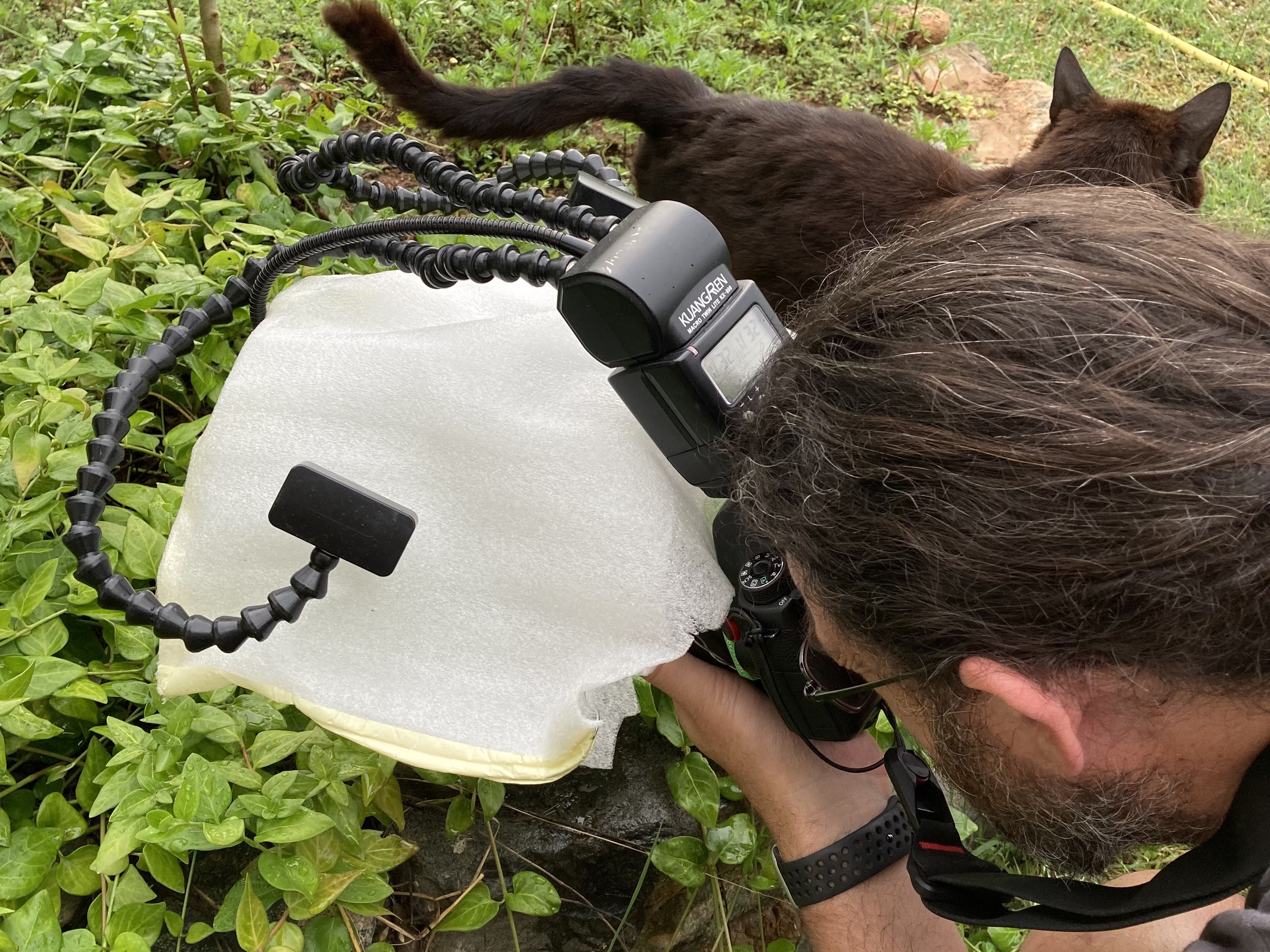 macro rig in action